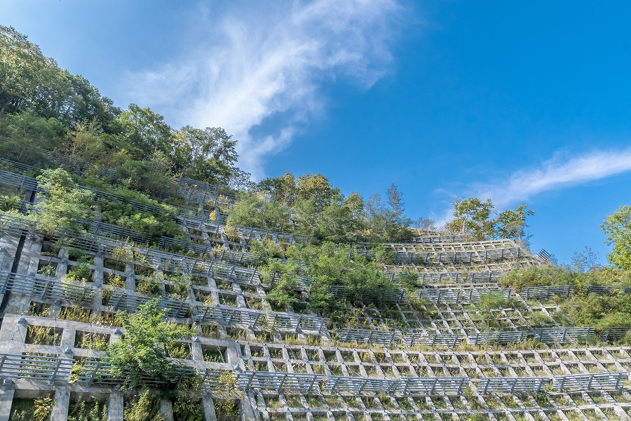 AdobeStock_140265946